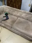 Professional Couch & Sofa Cleaning Service - 4
