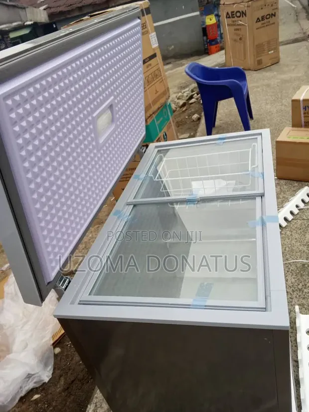 Snowsea Freezer Mai Ƙofofi Biyu - 1