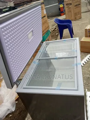 Snowsea Freezer Mai Ƙofofi Biyu