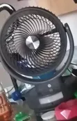 Kananan Fan din Rana da Hasken Bulb - 1