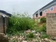 Bare Half Plot Land for Sale, Ijaye Ojokoro, Lagos - 3