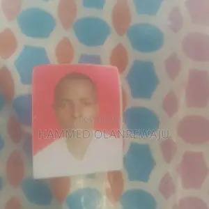 Manual Labour CV - Hammed Olanrewanju