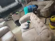Excellent Sofa & Carpet Cleaning Services - 4