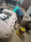 Excellent Sofa & Carpet Cleaning Services - 5