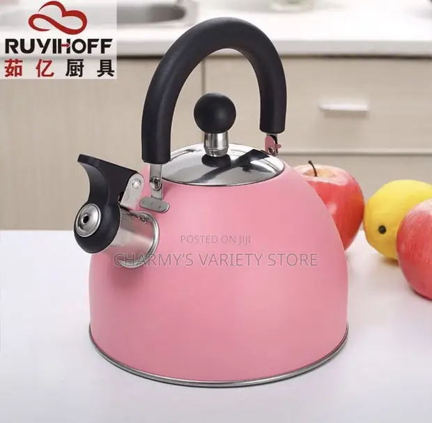 3L Stainless Steel Whistling Kettle - 1