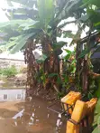 Furnished 4-Bedroom Bungalow in Osisioma Ngwa for Sale - 3