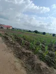 FCDA Plot for Sale in Kuje, Abuja - 3