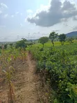 FCDA Plot for Sale in Kuje, Abuja - 5