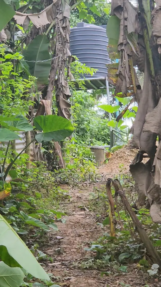 Pigs Farm for Sale in Ile Ife - 1