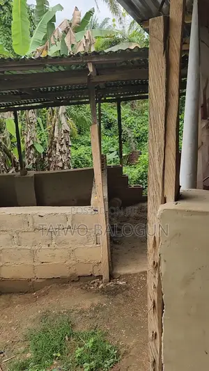 Pigs Farm for Sale in Ile Ife