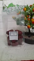 Chinese Jujube Red Dates 100g Pack - 2