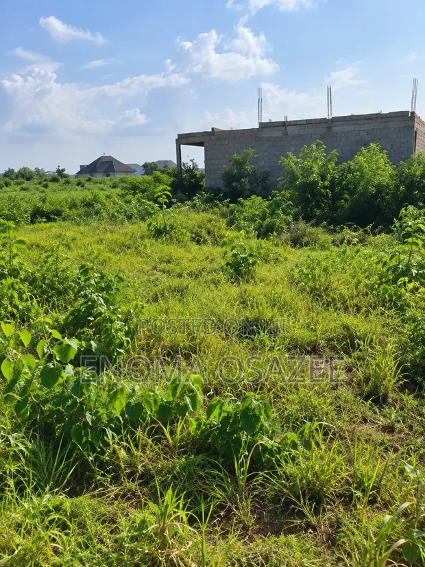 50x100ft Residential Land for Sale, Obagie, Benin City - 1