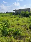 50x100ft Residential Land for Sale, Obagie, Benin City - 1
