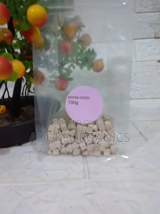 Chinese Poria Cocos Mushroom (Fu Ling) - 1