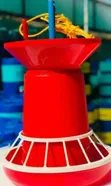 India Feeder 15kg Hanging Chicken Feeder - 2