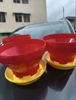 Brand New Chicks Feeder - 2