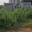 Prime Land for Sale | Katampe Main, Abuja - 1