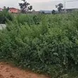 Prime Land for Sale | Katampe Main, Abuja - 2