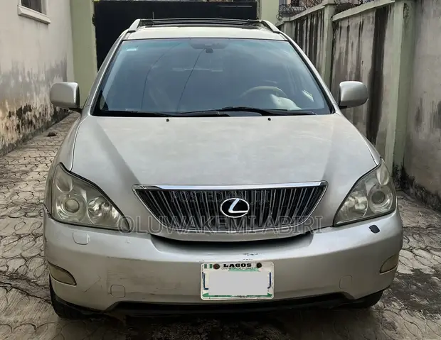 Lexus RX 350 2007 Silver - 1