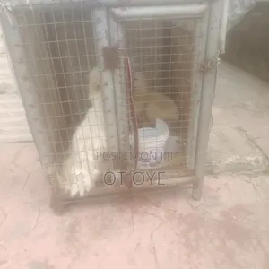 Used Galvanized Dog Cage for Small Breeds