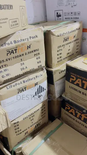Patton 2.56kWh 25.6V 100Ah Lithium Ion Battery
