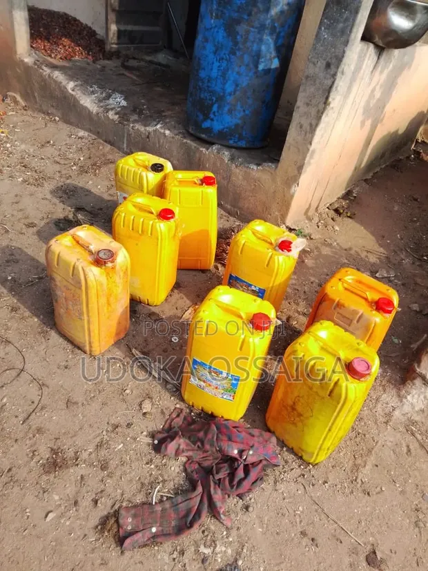 25 Litres Unadulterated Deltan Palm Oil - 1