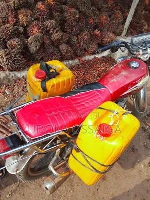25 Litres Unadulterated Deltan Palm Oil