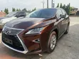 Lexus RX 2017 Platinum Edition - 2