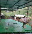 Floor Crate for Animal Bedding - 3