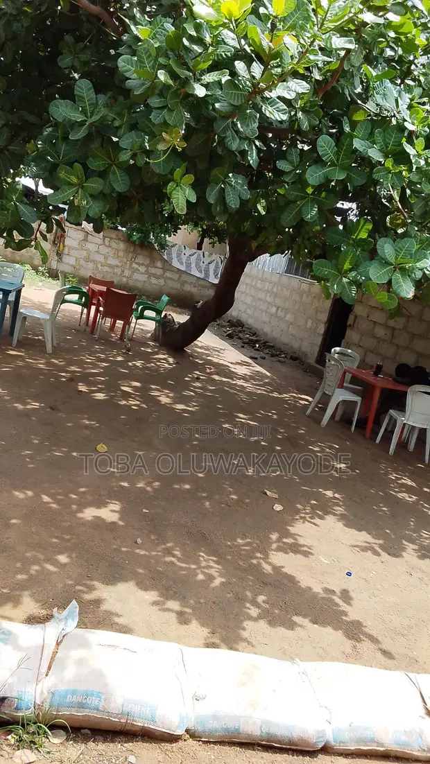 50x50 Plot of Land for Sale in Cashew Garden, Sauka, Abuja - 1
