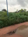 Filin Doka na Mallaka don Siyarwa - Owerri - 3