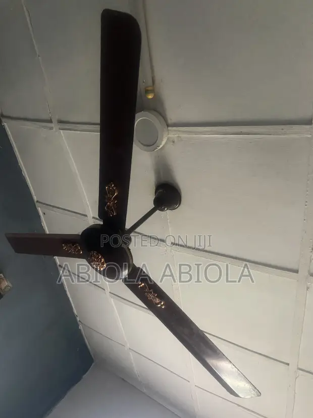 Orl Long Ceiling Fan - Used - 1