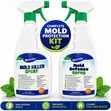 Mold Treatment Kit - Mold Killer & Defense Spray - 4