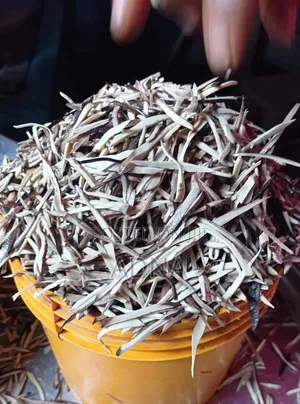 Fresh Ugba (Custard)