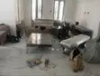 Dehanyi Logistics: Professional Home Relocation Services - 1