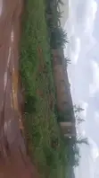 50x100ft Residential Land for Sale, Ikpoba Hill Benin City - 3
