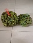 Okra da aka Noma ba tare da sinadarai ba - 2