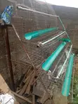 Half Battery Cage for Layer Birds - 2