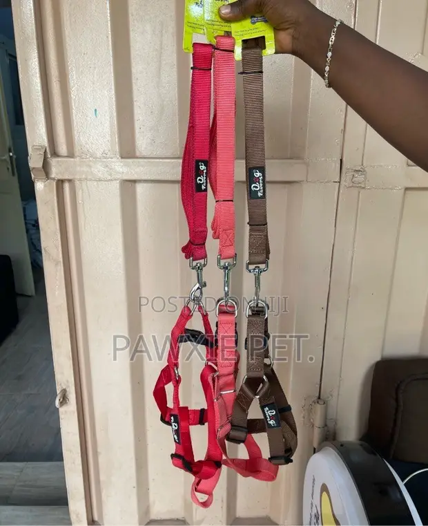 Dog Harness and Lead Set - Brand New - 1