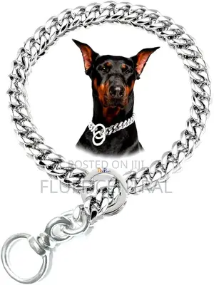 Choke Chain Collar 5mm x 70cm
