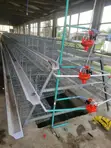 96-Bird Capacity Imported Battery Cage - 3