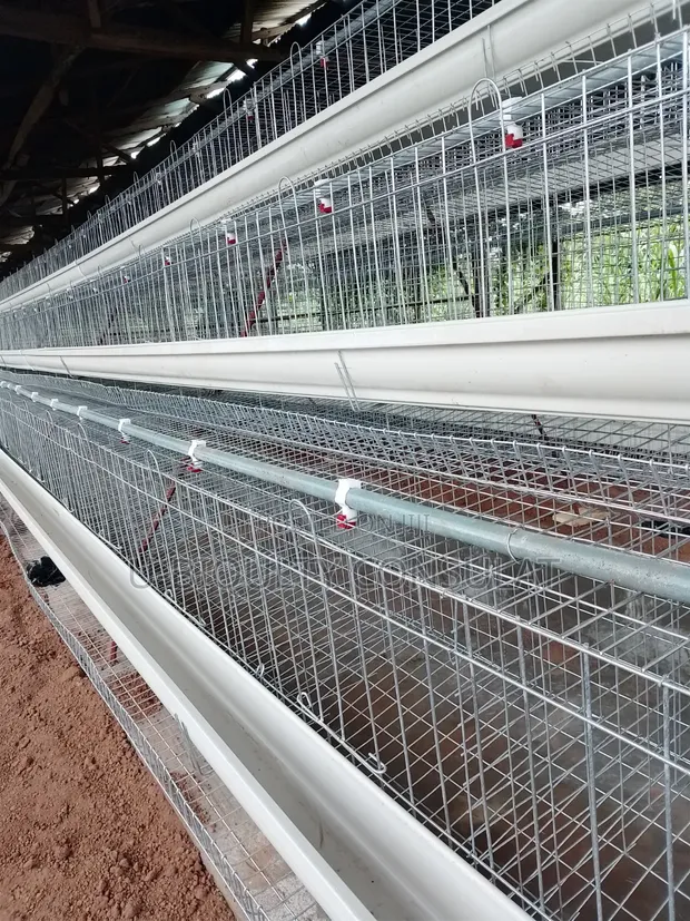 Brand New Battery Cages (96, 120, 160 Capacity) - 1