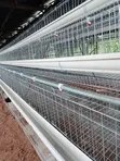 Brand New Battery Cages (96, 120, 160 Capacity) - 1