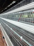Brand New Battery Cages (96, 120, 160 Capacity) - 2