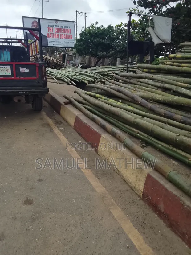 Bamboo Sticks for Building - 1