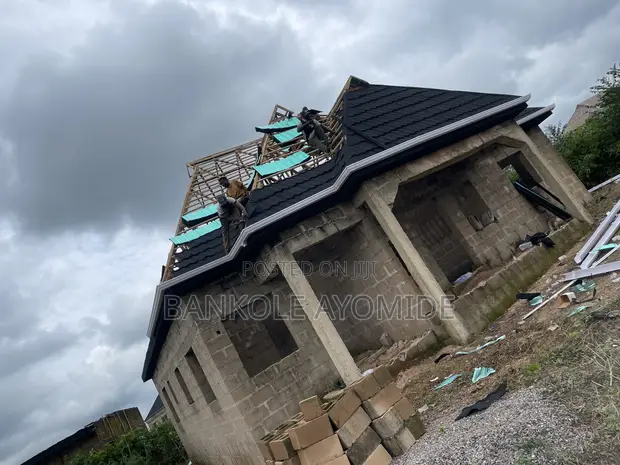 Professional Roofing Services - 1