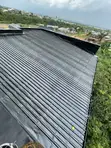 Professional Roofing Services - 4