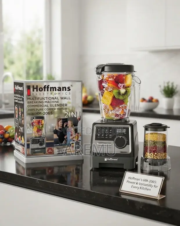 Hoffman Multifunctional Wall Breaking Machine Blender - 1