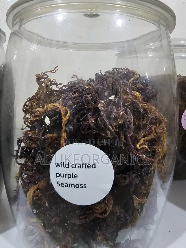 Wildcrafted Purple Seamoss 100g Pack - 1
