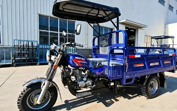 New Tricycle Truck 150cc - 1
